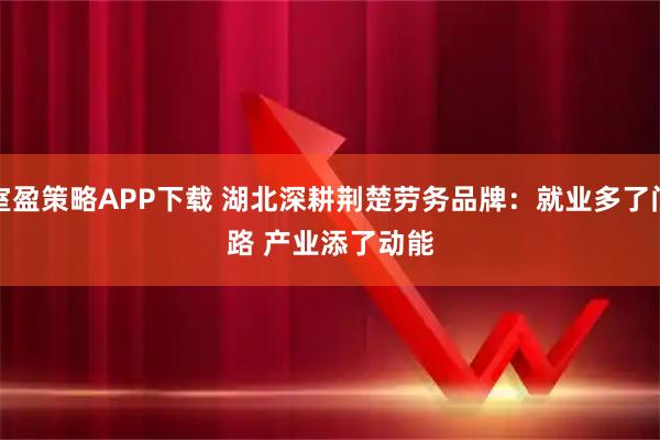 室盈策略APP下载 湖北深耕荆楚劳务品牌：就业多了门路 产业添了动能