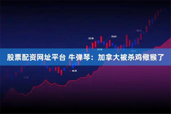 股票配资网址平台 牛弹琴：加拿大被杀鸡儆猴了
